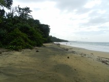 Punta Uva